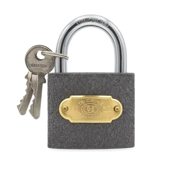 Tri-Circle Heavy Duty Padlock with 2 Keys | Durable Security Lock